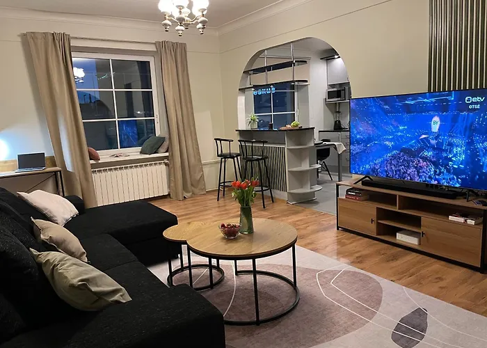 Vonn In Centre 塔林